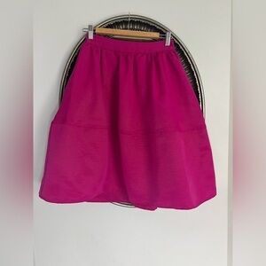 Express A-Line Skirt